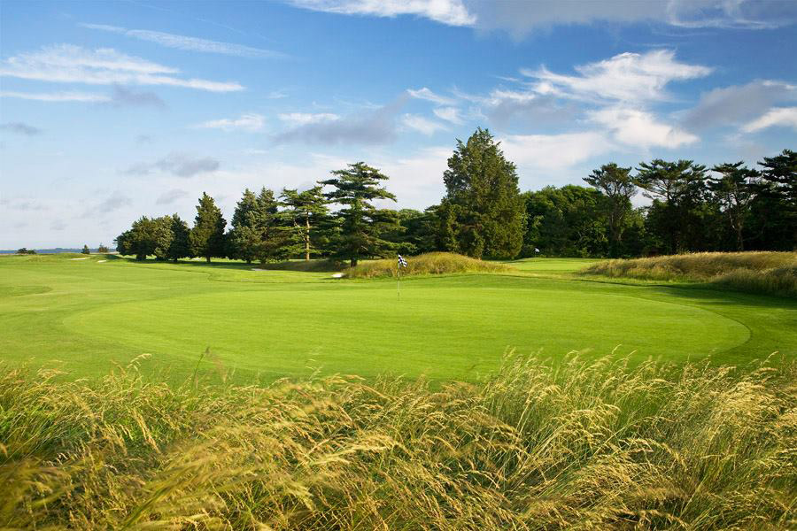 View of Golf Course Green